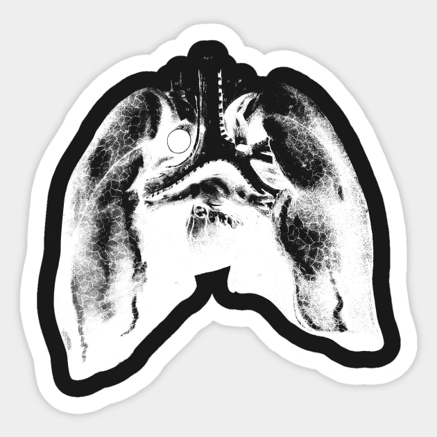 Lungs Sticker by Woah_Jonny